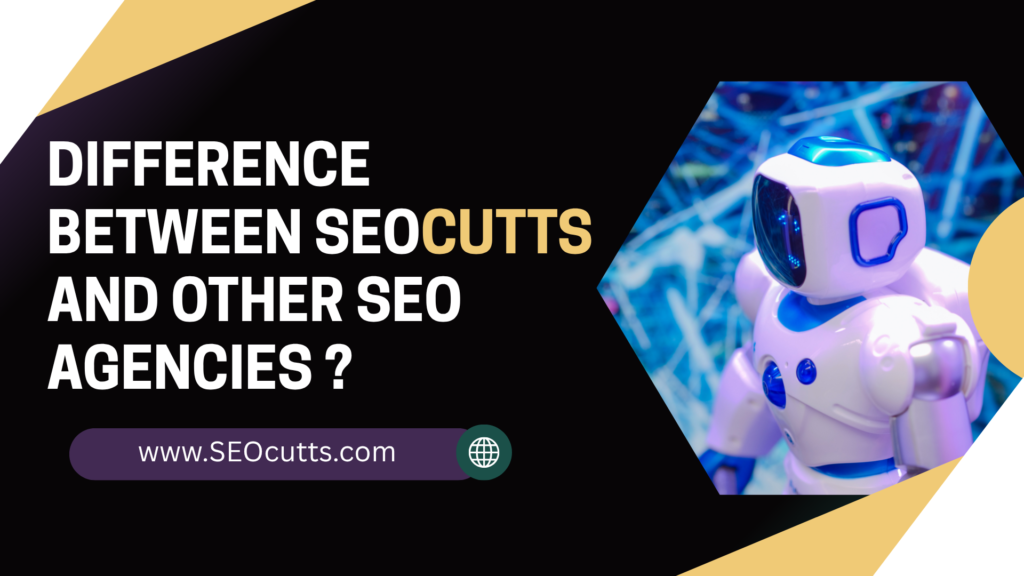 Difference Between SEOcutts And Other Agencies ? 